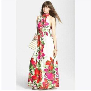 Eliza J Floral Print Chiffon Maxi Dress 4 NWT